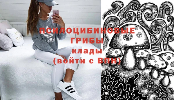 стаф Нея