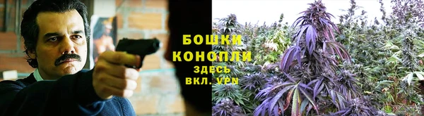 PSILOCYBIN Баксан
